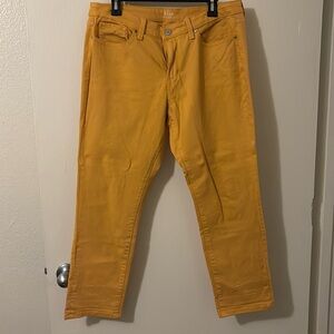 Mustard Yellow Pants